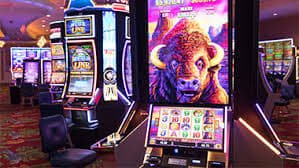 xbet1